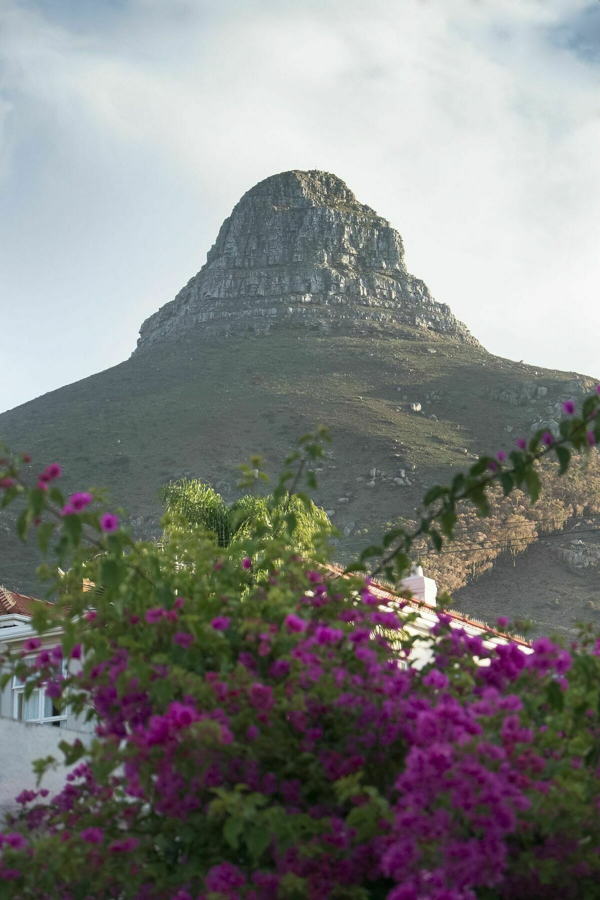 Rhonda'S Manor Boutique Guesthouse Kaapstad Buitenkant foto